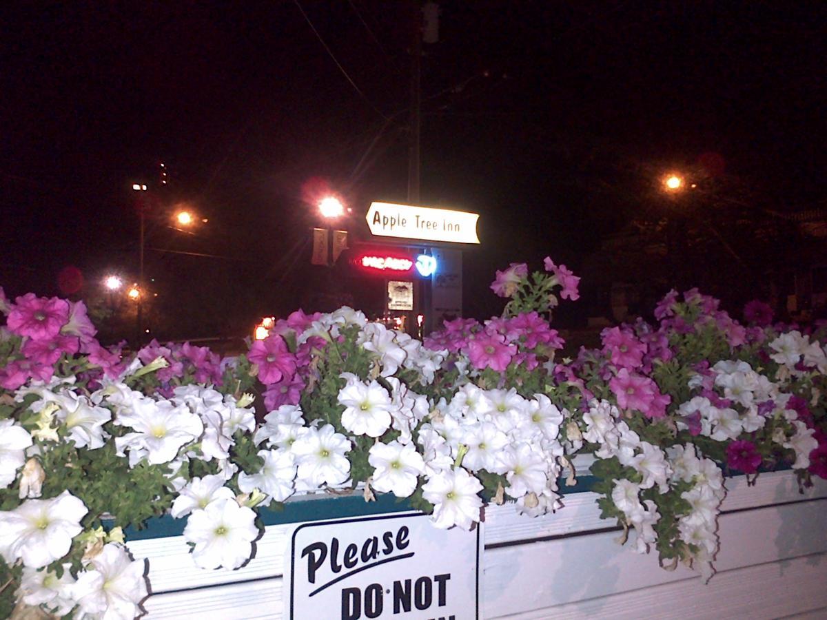 Appletree Inn เรเดียมฮอตสปริงส์ ภายนอก รูปภาพ